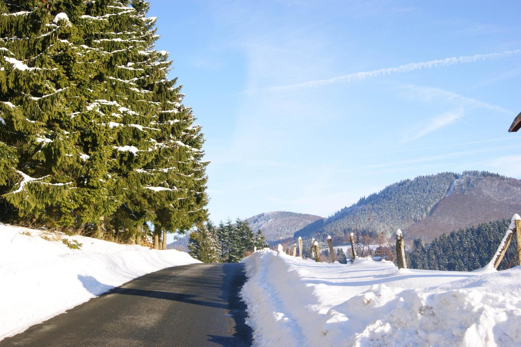 Guest house Am Knittenberg Winterberg